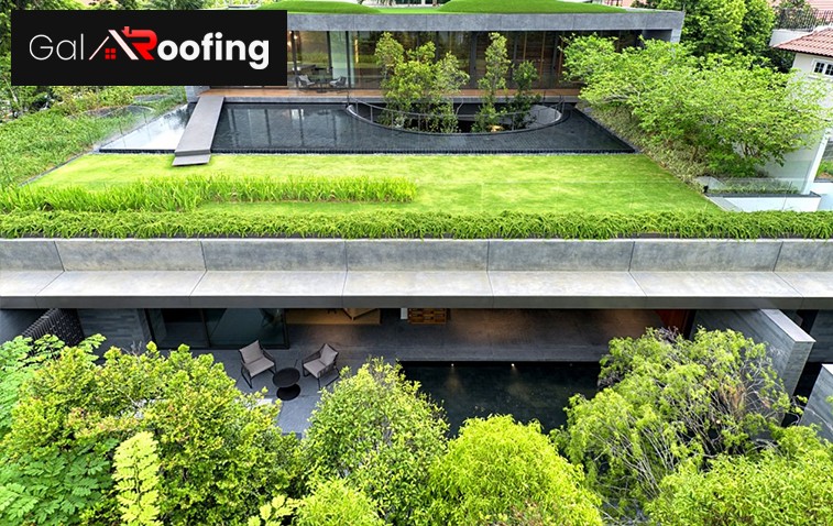 Close-up of green roofing materials and plants showing a sustainable design