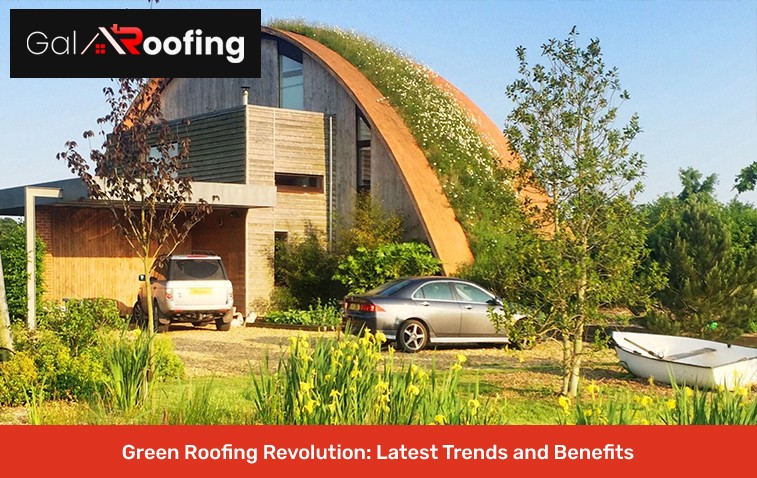 Lush green roof with plants and vegetation on a commercial building